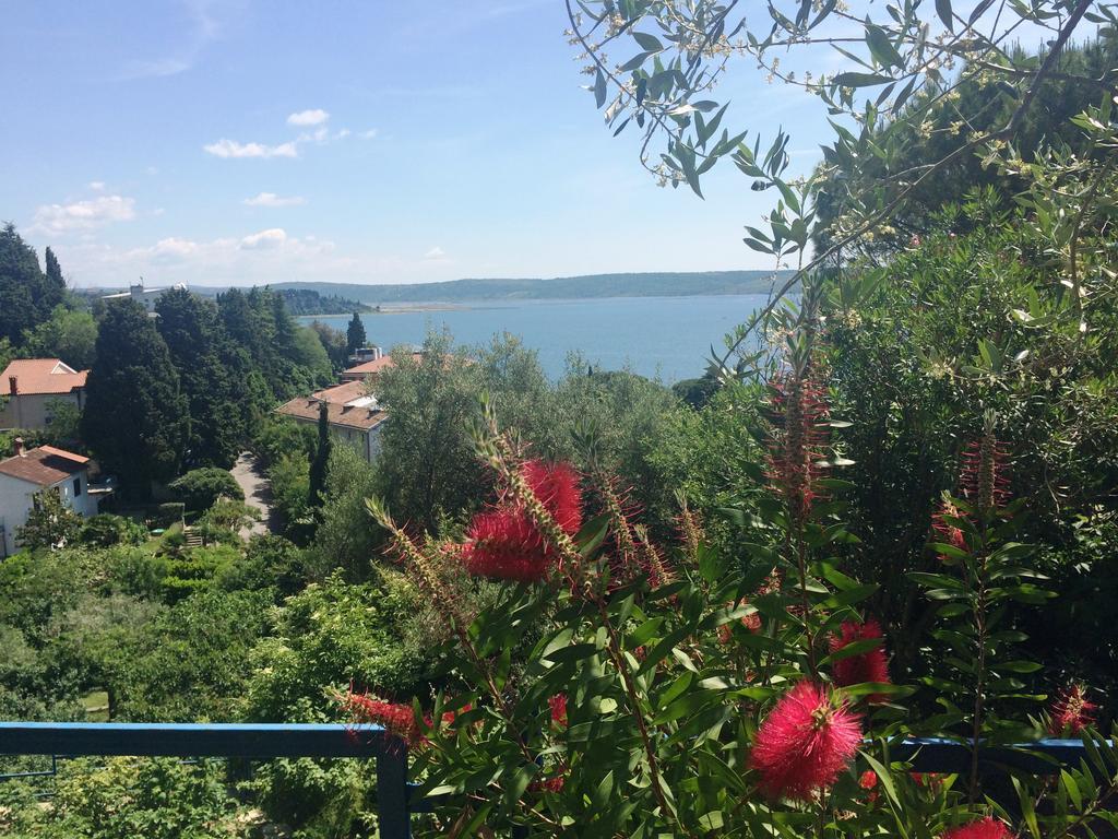 Apartments And Rooms Knez Portoroz Exterior photo